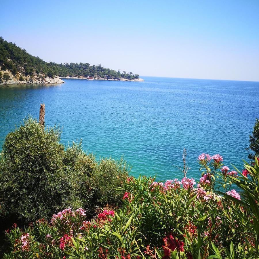 Villa Bel Air à Skala Potamia  Extérieur photo